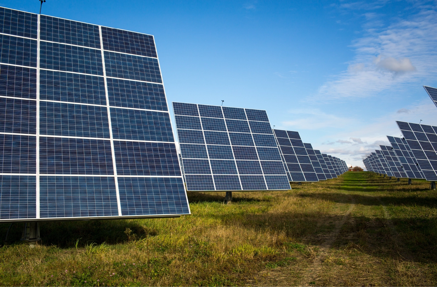 ADM Solar Supplies 200 MW mono PERC bifacial Modules in Gujarat and Maharashtra